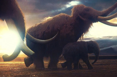 Факты, в которые трудно поверить