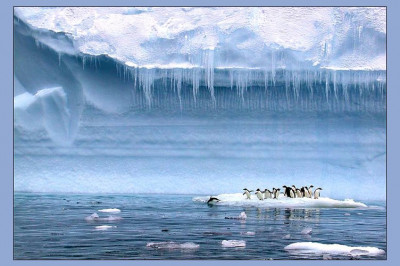 Кому принадлежит Антарктида?