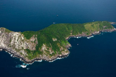 Змеиный остров Кеймада-Гранди в Бразилии – одно из самых опасных мест на планете