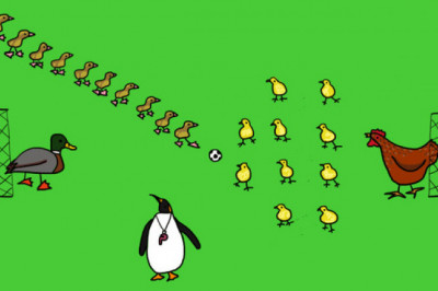 Почему утята идут за уткой гуськом, а цыплята за курицей гурьбой?