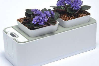 Умный сад доступен каждому. 