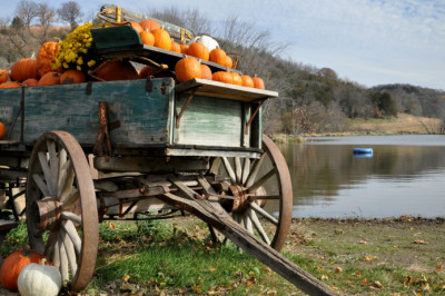 Откуда произошло выражение «что упало, то пропало»?