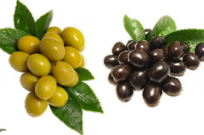 Чем отличаются маслины от оливок?