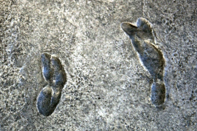 Самый древний отпечаток ноги человека