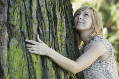  Деревья - целители.