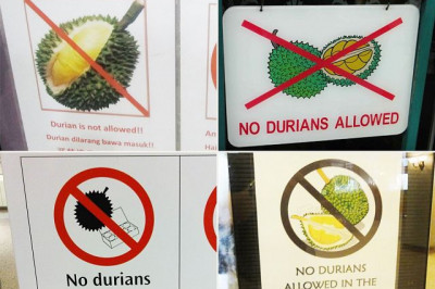 Дуриану вход запрещен!