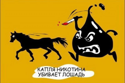 Капля никотина убивает лошадь?