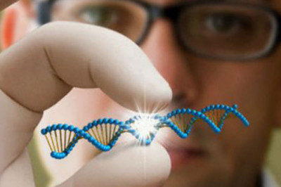 Перспективы клонирования