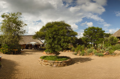 Намибия – страна, где есть ферма гепардов