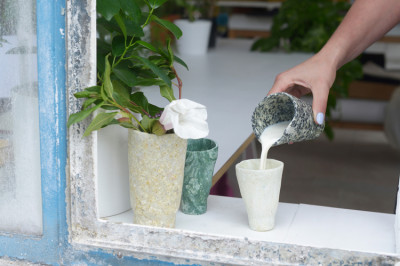 Биоразлагаемые контейнеры из коровьего молока