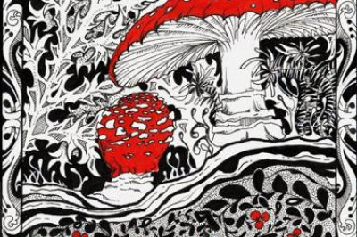 Мухомор- шаманский гриб