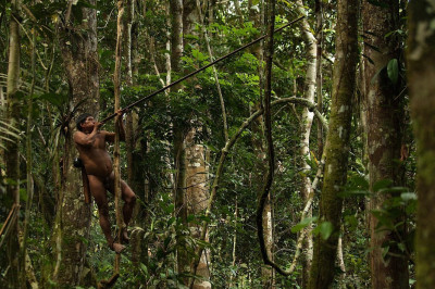 Племя Амазонки, мужчины которого лазят по деревьям и охотятся на обезьян