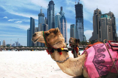 Удивительные факты о Дубае