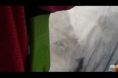 Львы загнали туристов в палатку, пытаясь утолить жажду