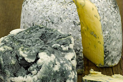 Сыр с плесенью-не опасно ли?