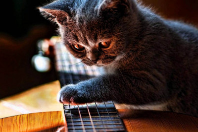 Какова польза от игры на гитаре?