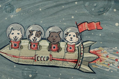 Собаки-космонавты как первые покорители космоса