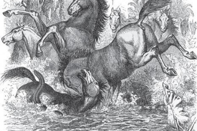 Что это за рыбы,которые бьют электрическим током?