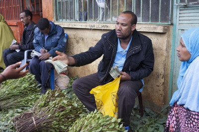 Кат- растение,которое дарит отличное настроение