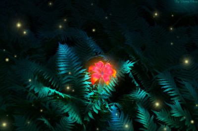 Когда зацветает папоротник?