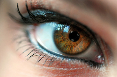 Вся правда о кареглазых людях