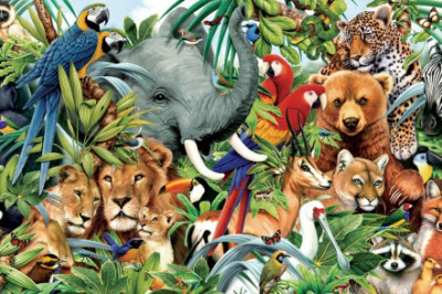 Какое животное имеет самую толстую кожу?