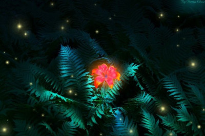 Цветет ли папоротник?