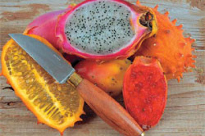 Какой кактус является съедобным?