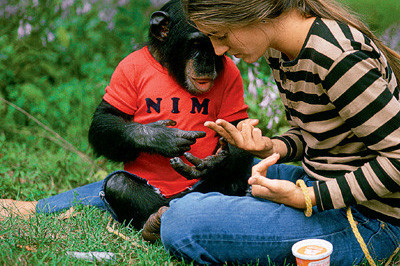 Животные могут научиться человеческой речи?