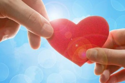 Из чего состоит 