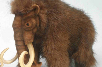 Можно «оживить» мамонтов?