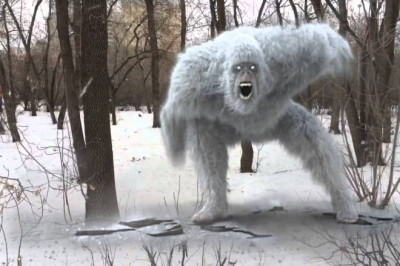 Снежный человек- правда или миф?