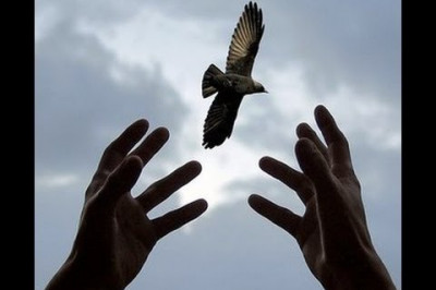 Зачем нужно отпускать птицу в небо?