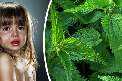 Почему крапива жжется?