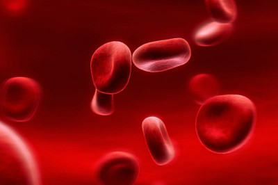 Зачем нужны эритроциты?