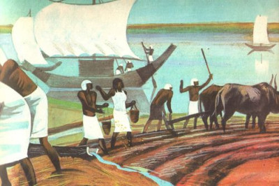 Интересные факты о древних жителях Египта