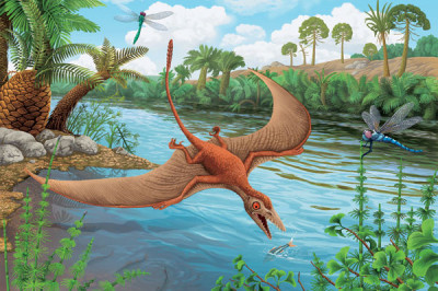 Какими были древние птицы?