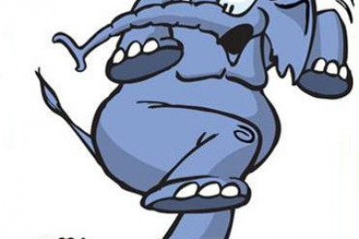 Почему слоны боятся  мелких грызунов?