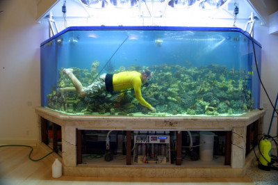 Рыбы как хозяева воды