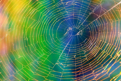 В чем коварство паутины?