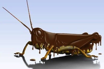 Экстраординарный подход к шоколаду