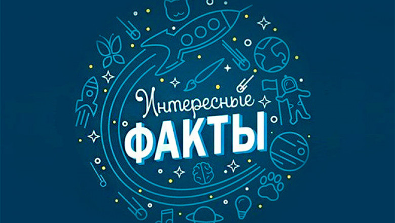 Интересные факты со всего мира