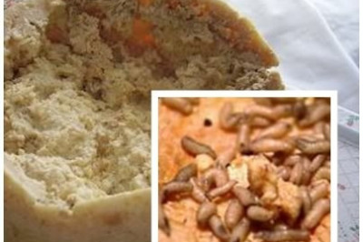 Касу-марцу- национальное достояние Сардинии