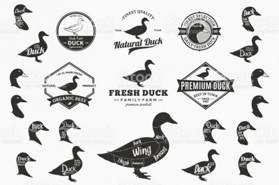 Маркетинговые хитрости в виде красивых этикеток на продукции птицы