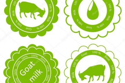 О чем говорят этикетки на мясной продукции?