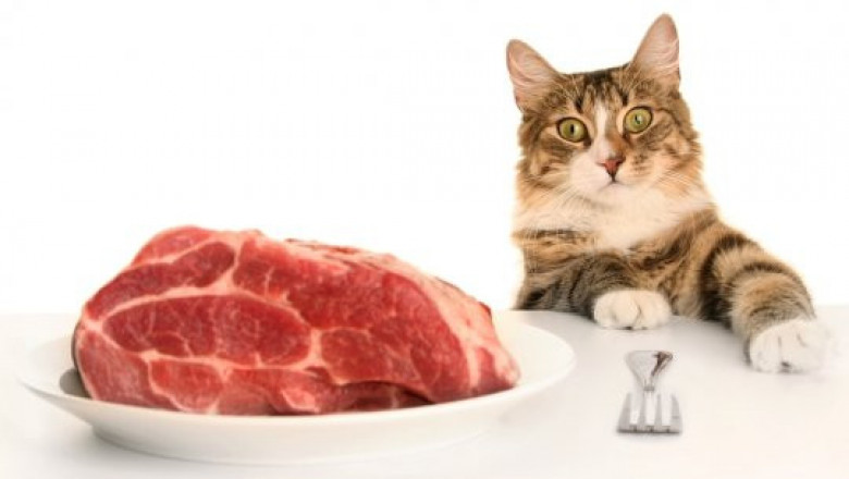 Где едят кошачье мясо?