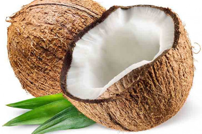 Интересные факты про кокосы