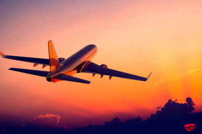 Как можно сэкономить на 40 тысяч $ на оливках?