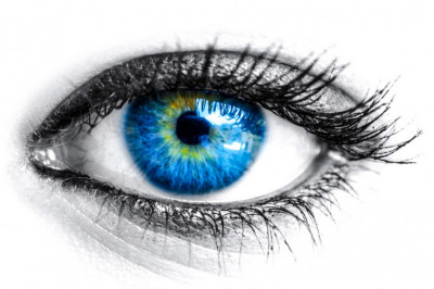 15 интересных фактов о глазах