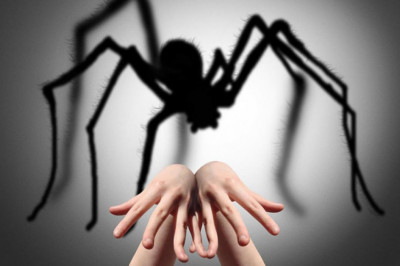 Откуда берутся фобии у человека?